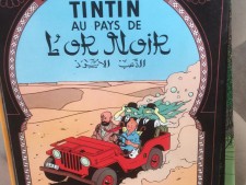 Fumetti usati le avventure di Tin Tin a Treviso