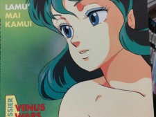 Fumetti Manga usati a Treviso